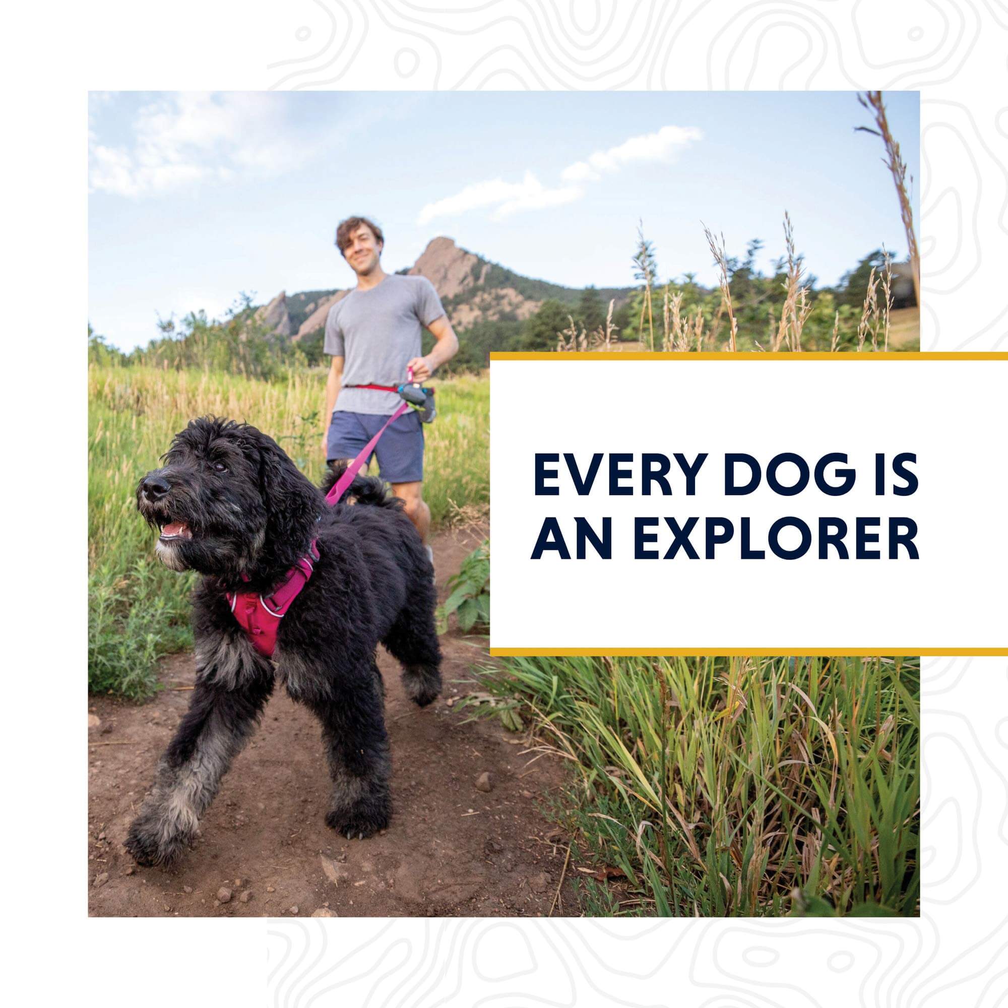 Ruffwear Top Rope Hundehalsband - Outdoor Shop FluxPerfect