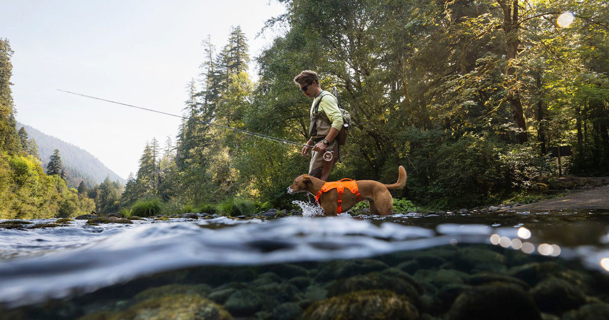 Hundebedarf, Hund im Wasser mit Angler