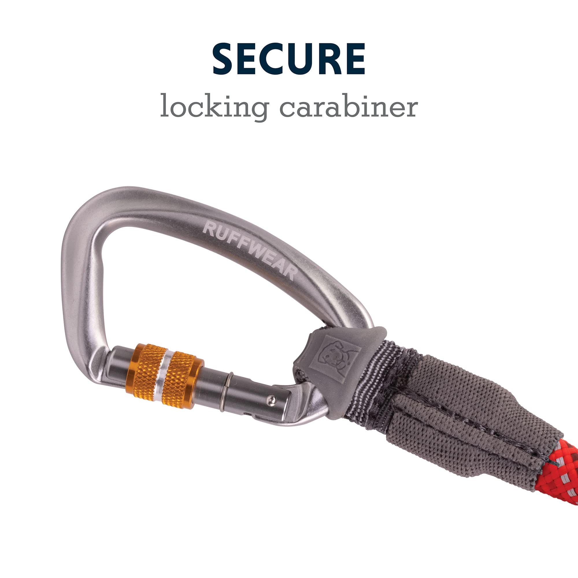 e8de912a-e684-42ed-8371-f4f7ef77a2f9