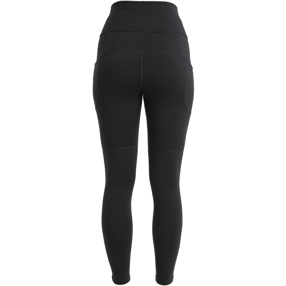 Leggings – Icebreaker – Merino Speed Winter Tights Women