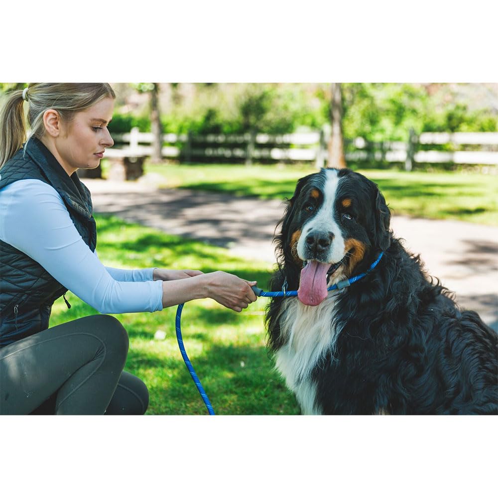 Hundeleine – Ruffwear – Just-a-Cinch