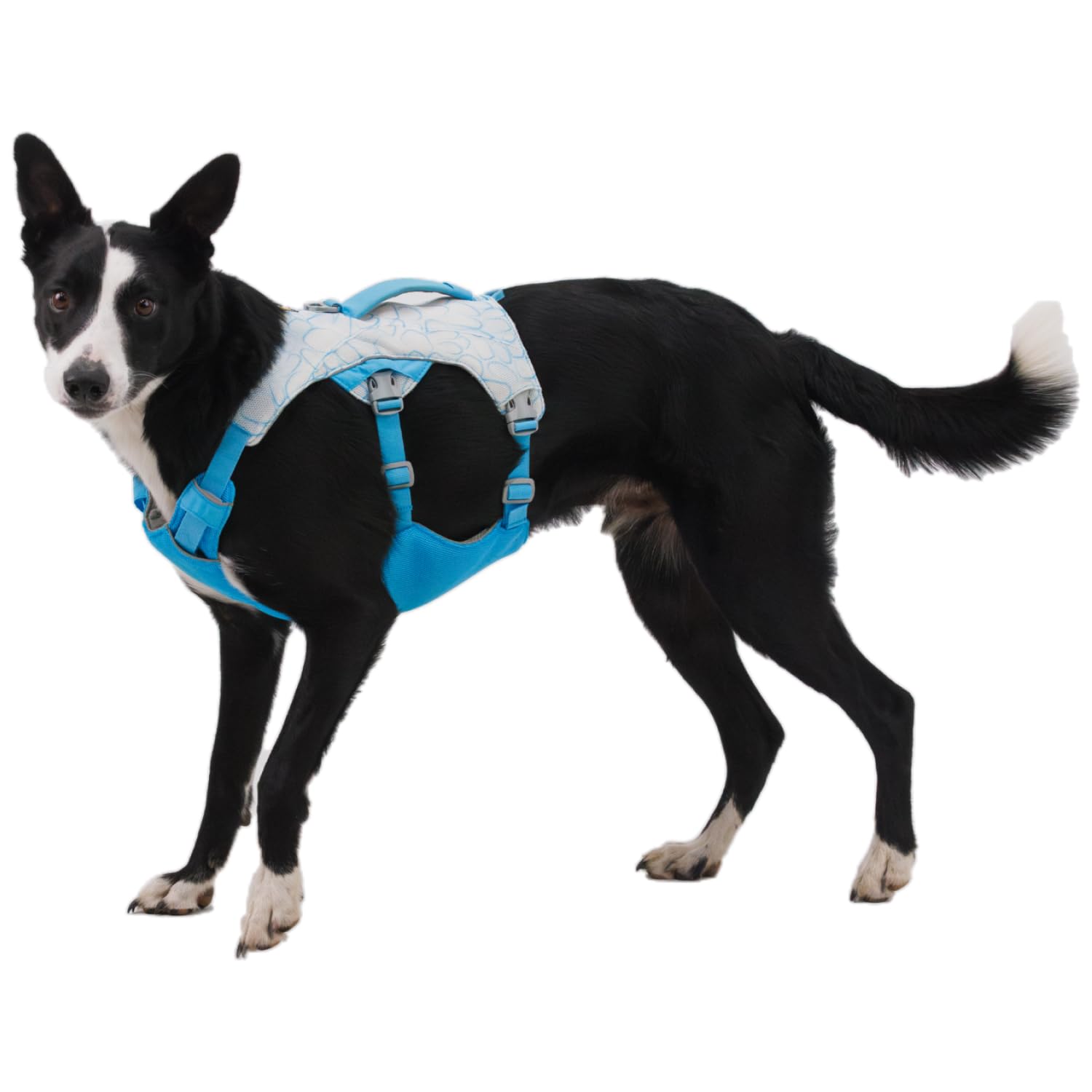 Hundegeschirr – RUFFWEAR – Swamp Cooler – RUFFWEAR – Bild 6