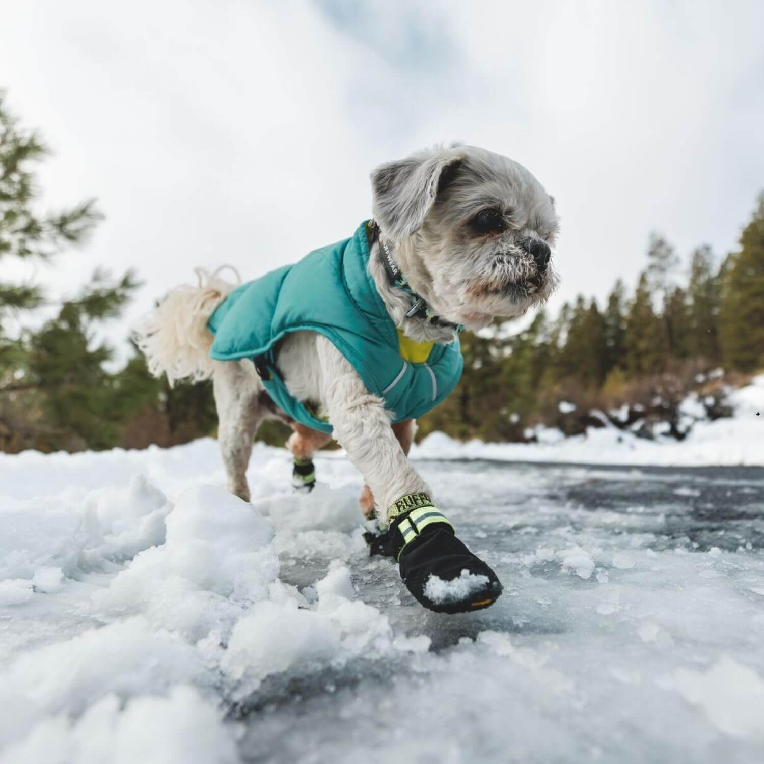 Ruffwear Summit Trex Hundeschuhe