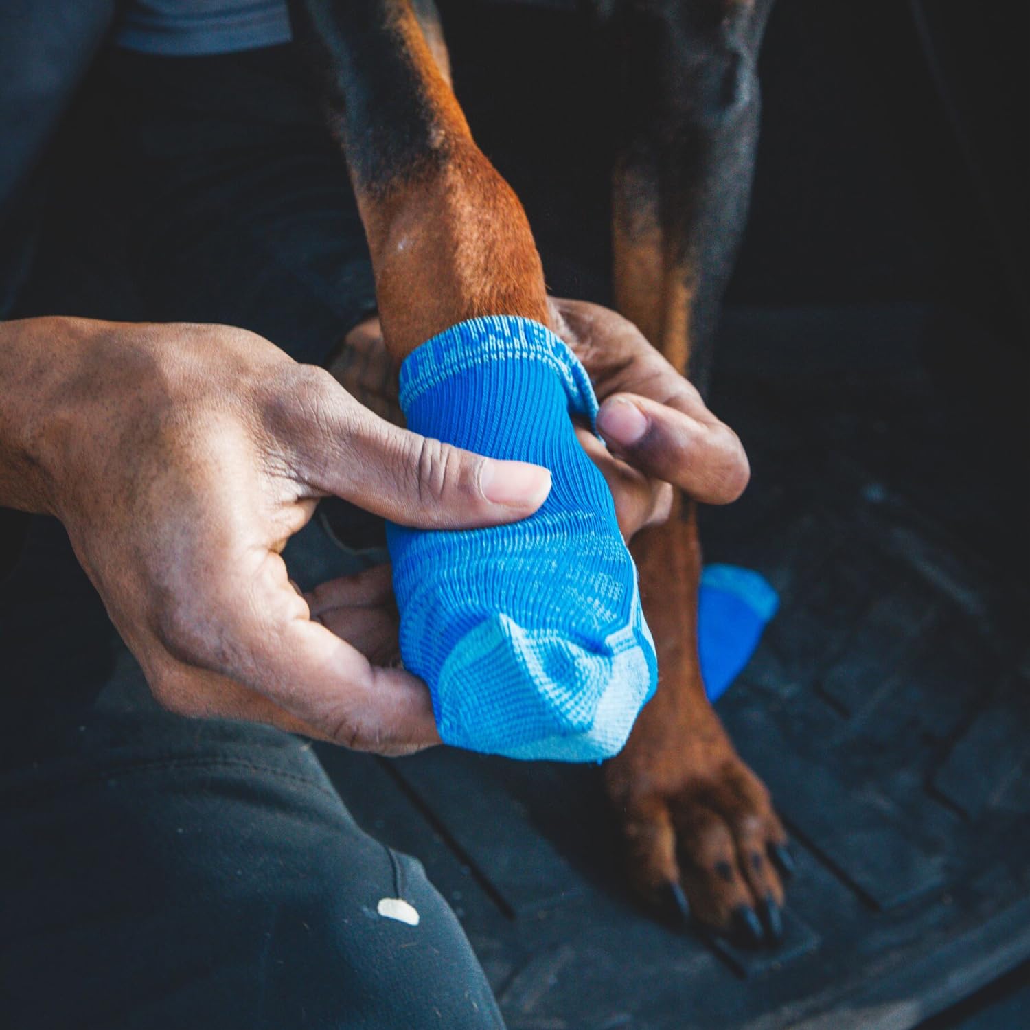 0dec3106-23ff-42cf-b28e-ab87ed13b0f3