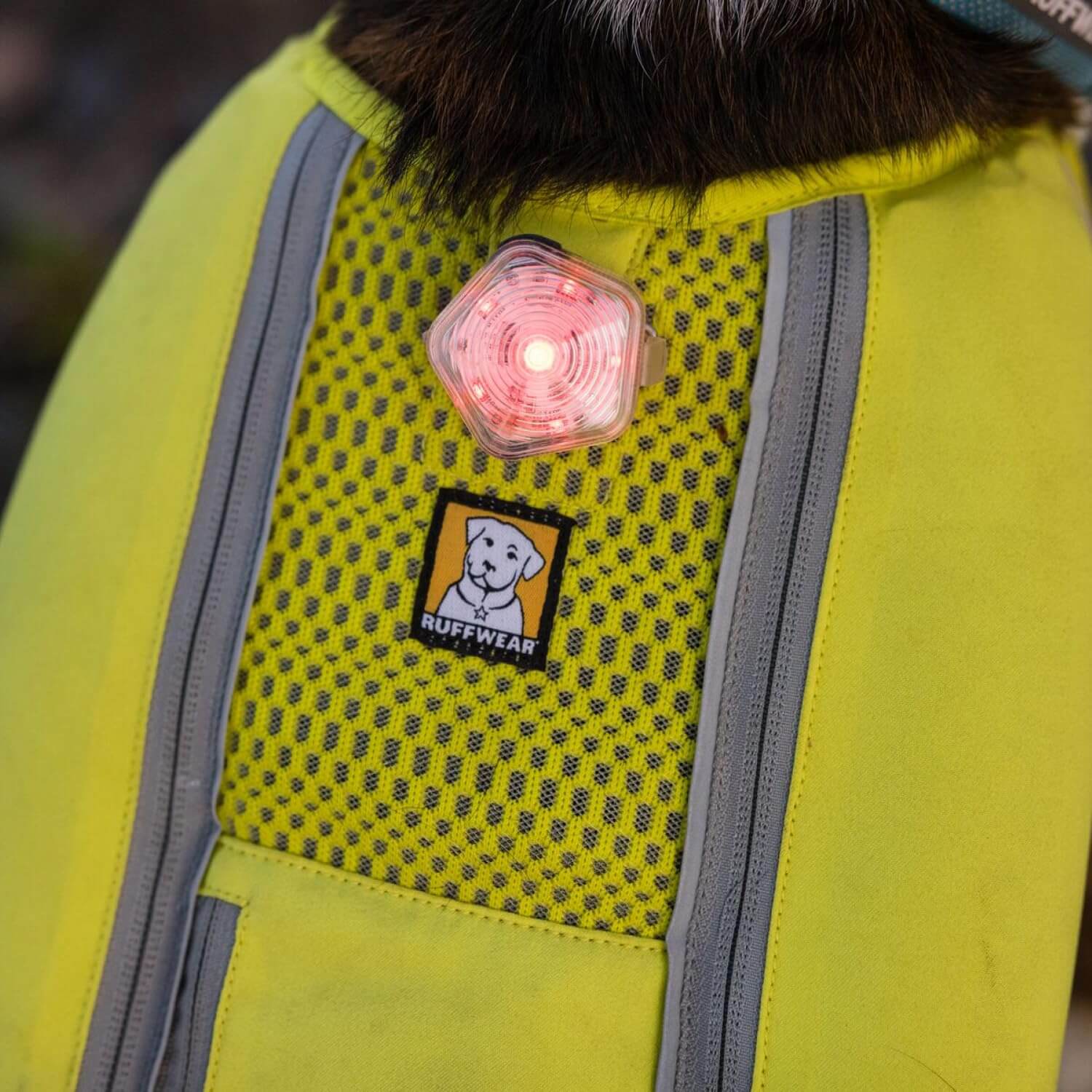 Ruffwear Beacon Hunde-Sicherheitslicht