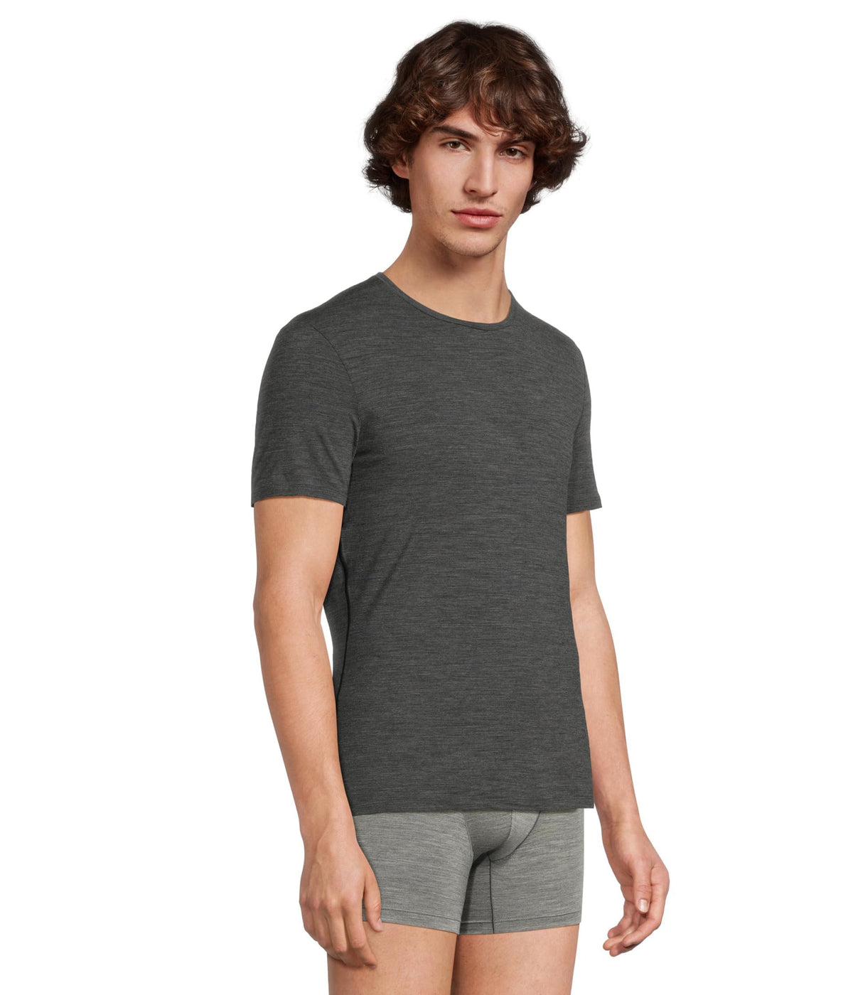 Merino T-Shirt – Icebreaker – Anatomica Short Sleeve Crewe