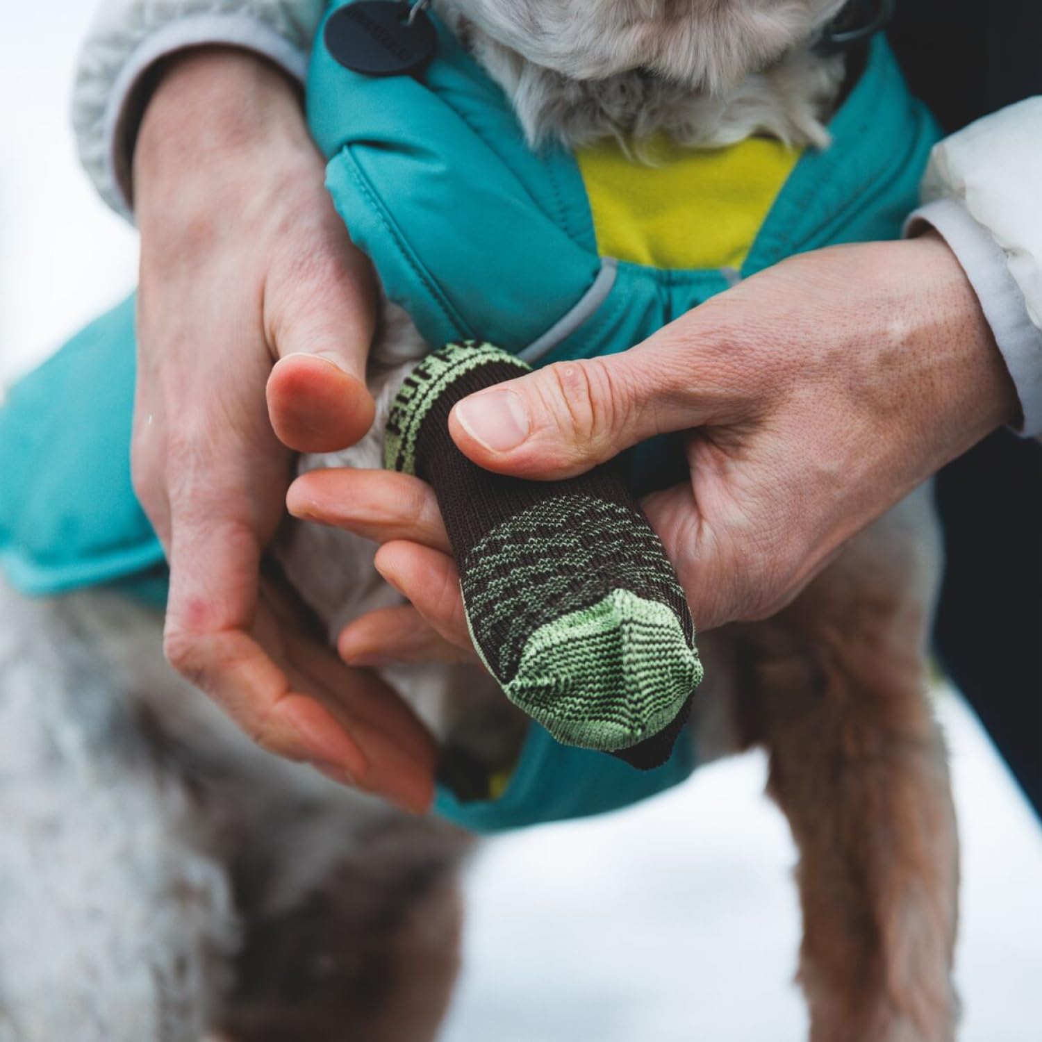 d17e6cfc-3e65-4852-b7be-1292ac247600