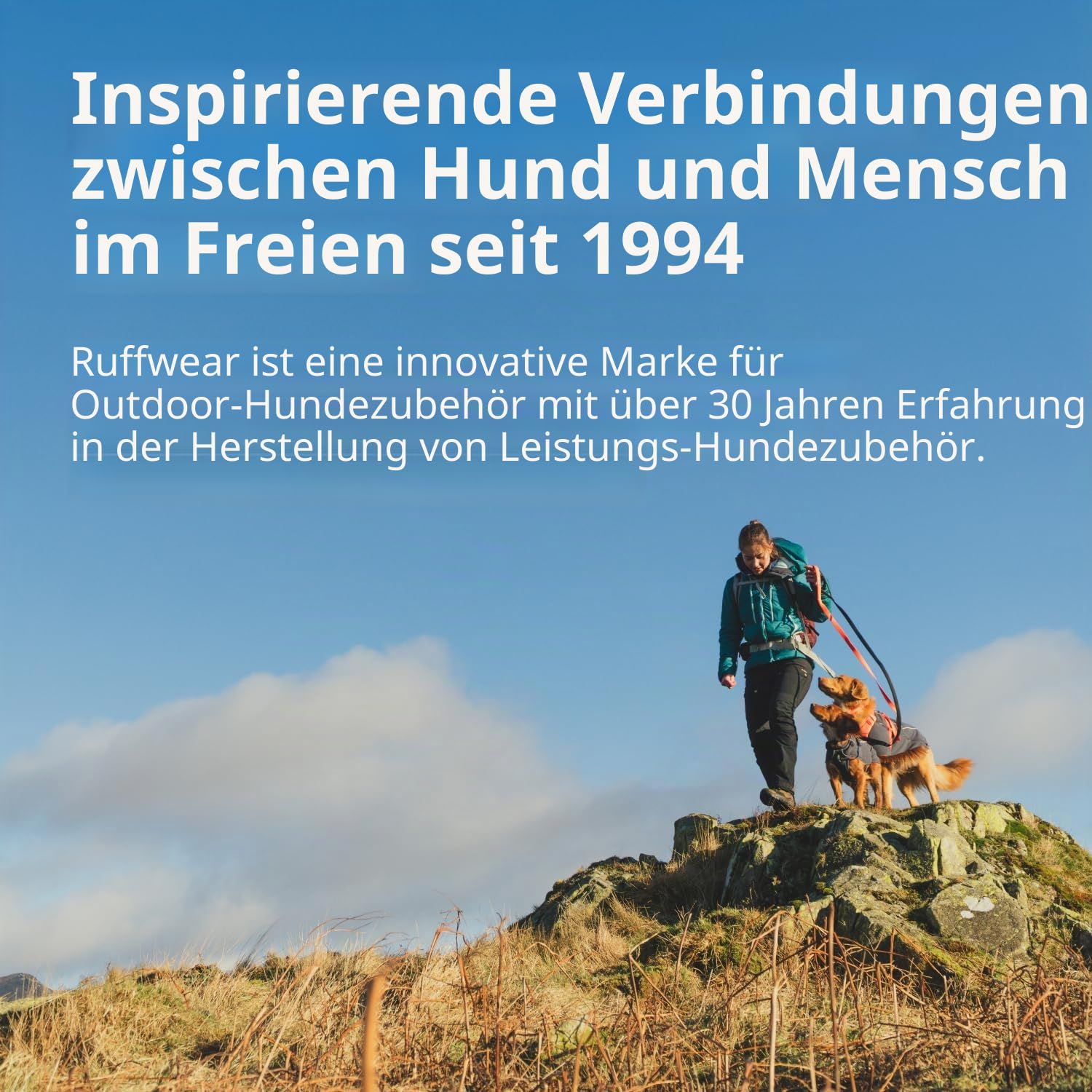 Hundejacke – RUFFWEAR – Powder Hound – RUFFWEAR – Bild 14