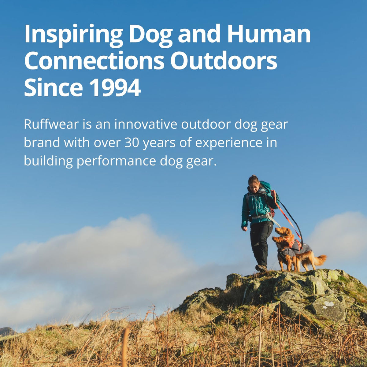 Hundejacke – RUFFWEAR – Powder Hound