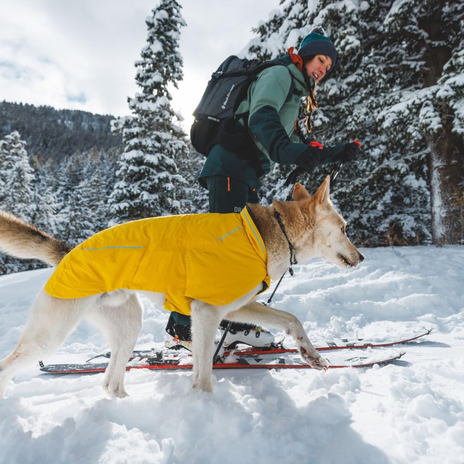 Hundehalsband – Ruffwear – Knot-a-Collar