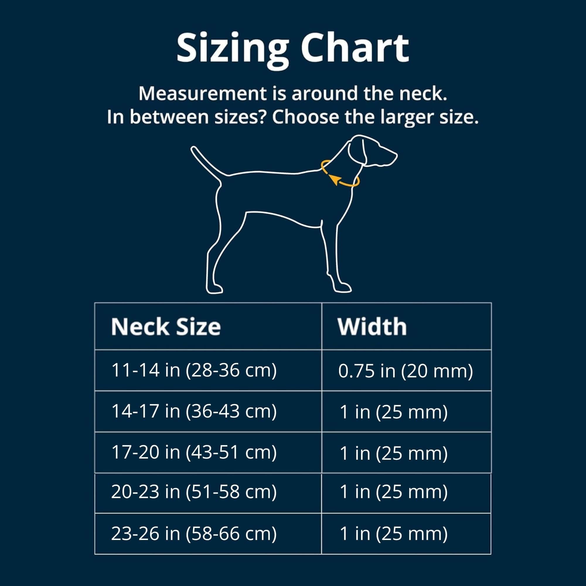 Das Ruffwear Web Reaction Hunde Halsband, ideal für Hunde die an der Leine ziehen, erhältlich im Outdoor Online Shop FluxPerfect