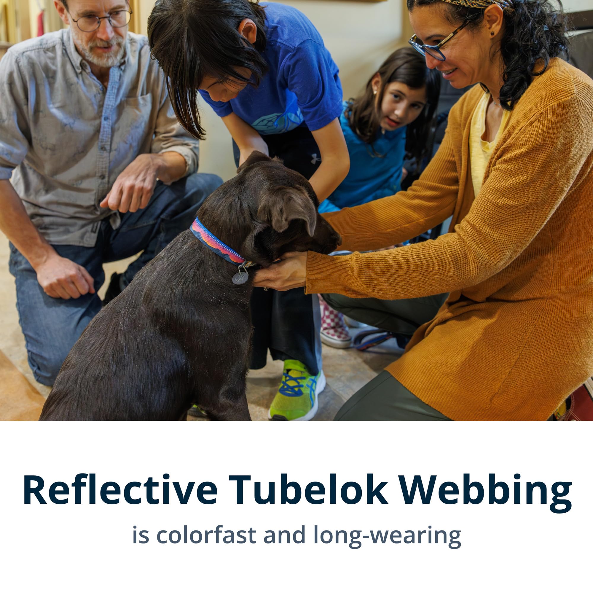 Hundeleine – Ruffwear – Crag EX Dog Lead