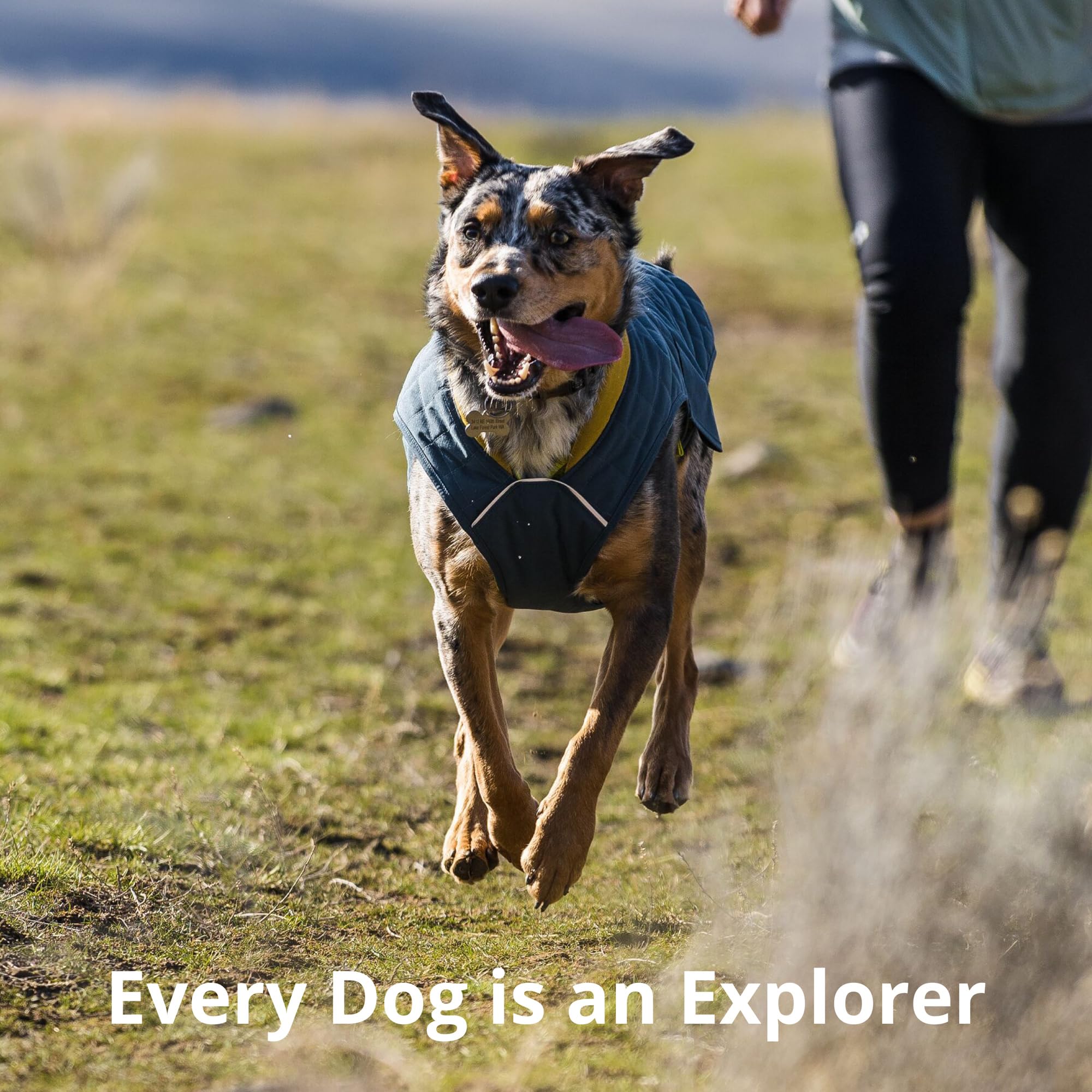 Hundejacke – Ruffwear – Stumptown