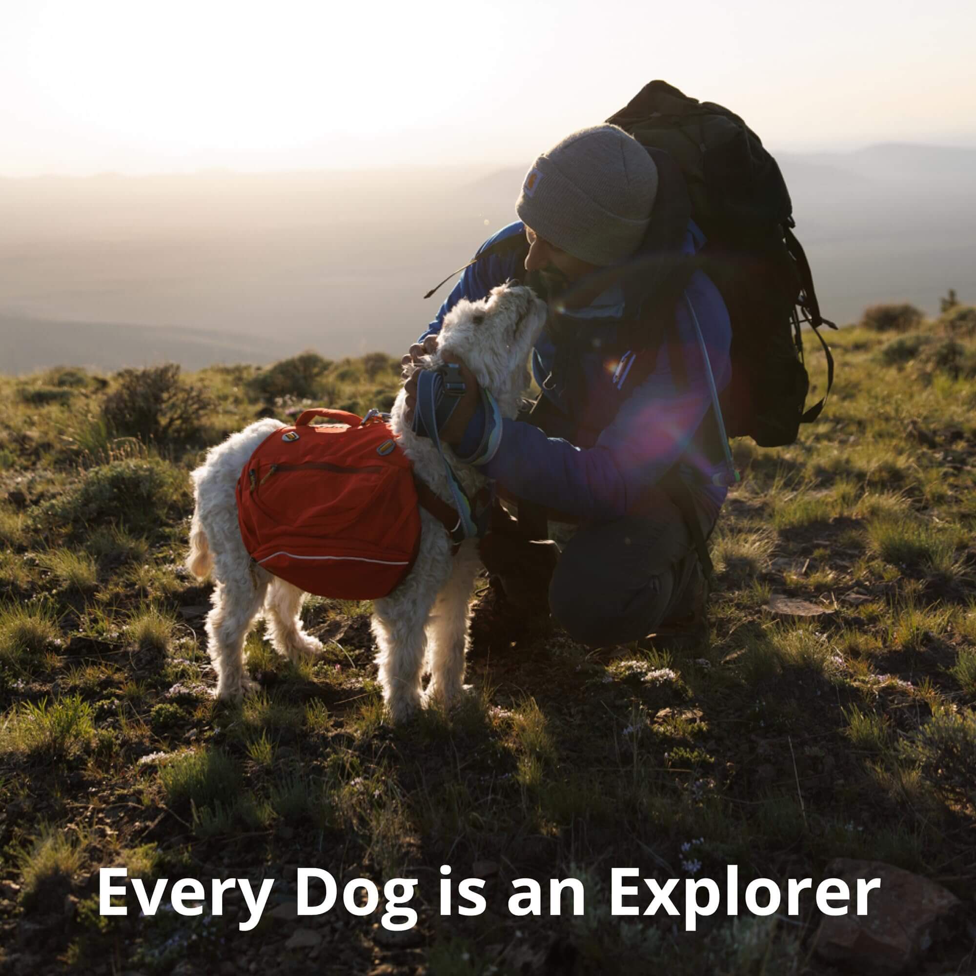 Ruffwear Crag Hundehalsband