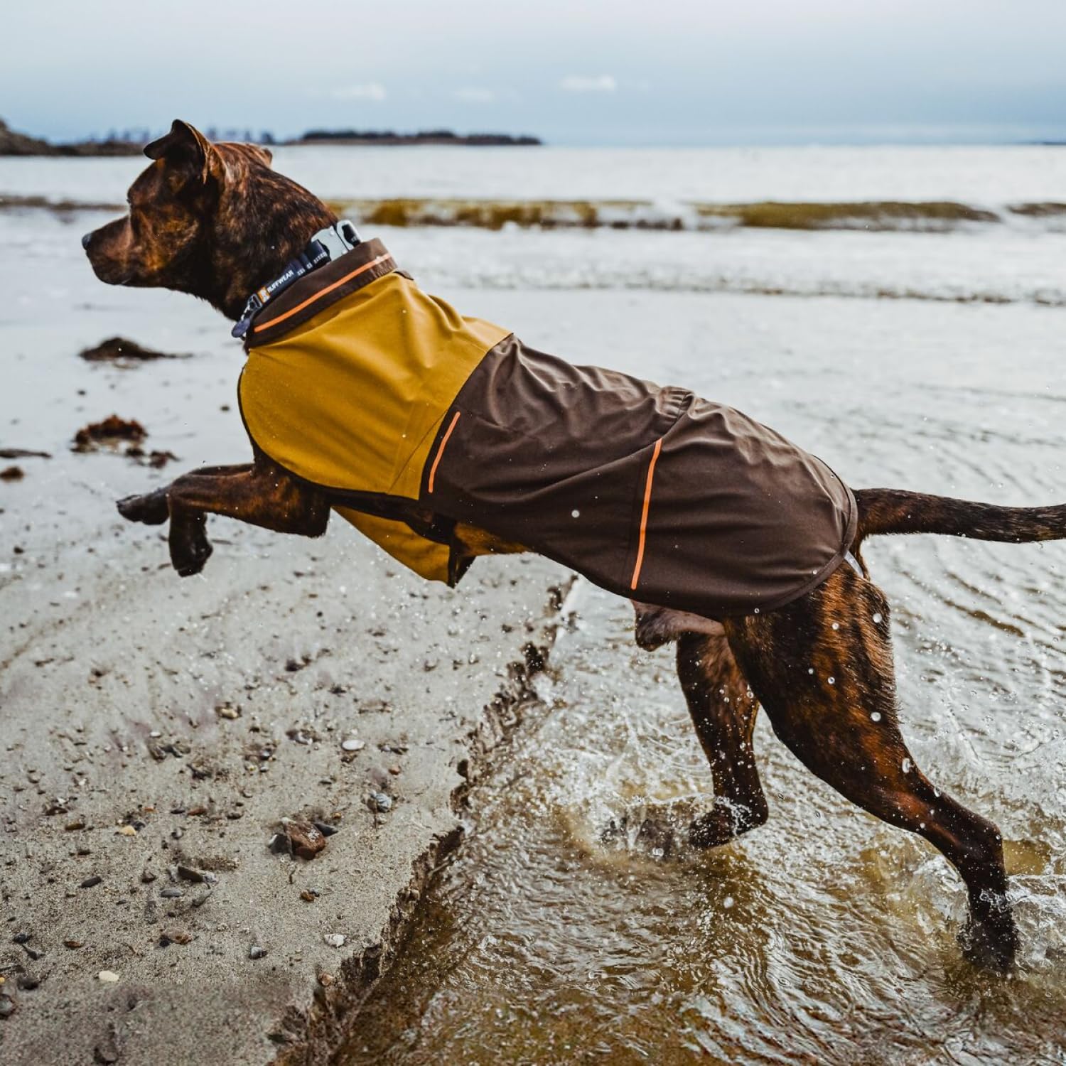 Hunde-Regenjacke – Ruffwear – Sun Shower – RUFFWEAR – Bild 5