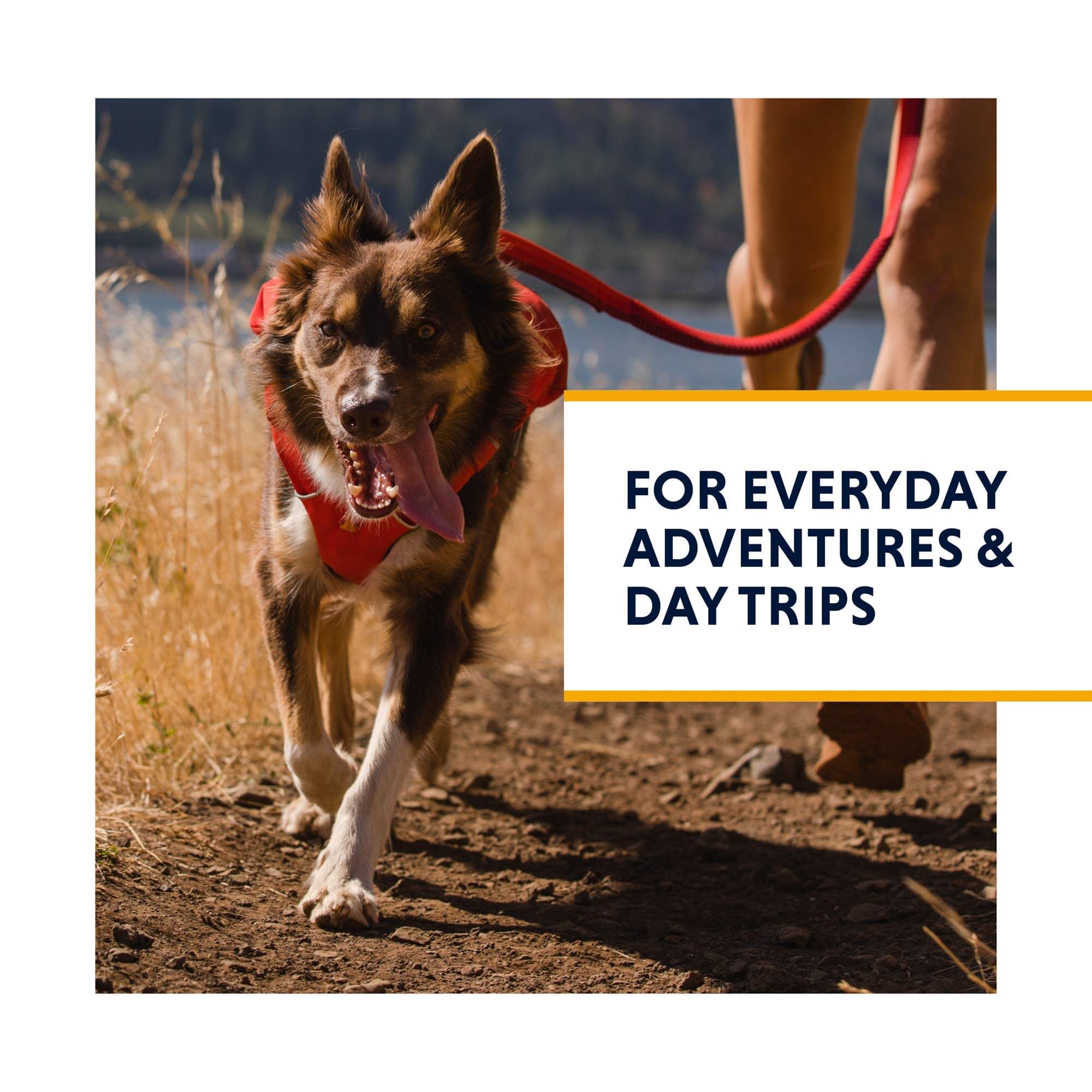 Ruffwear Switchbak Hundegeschirr