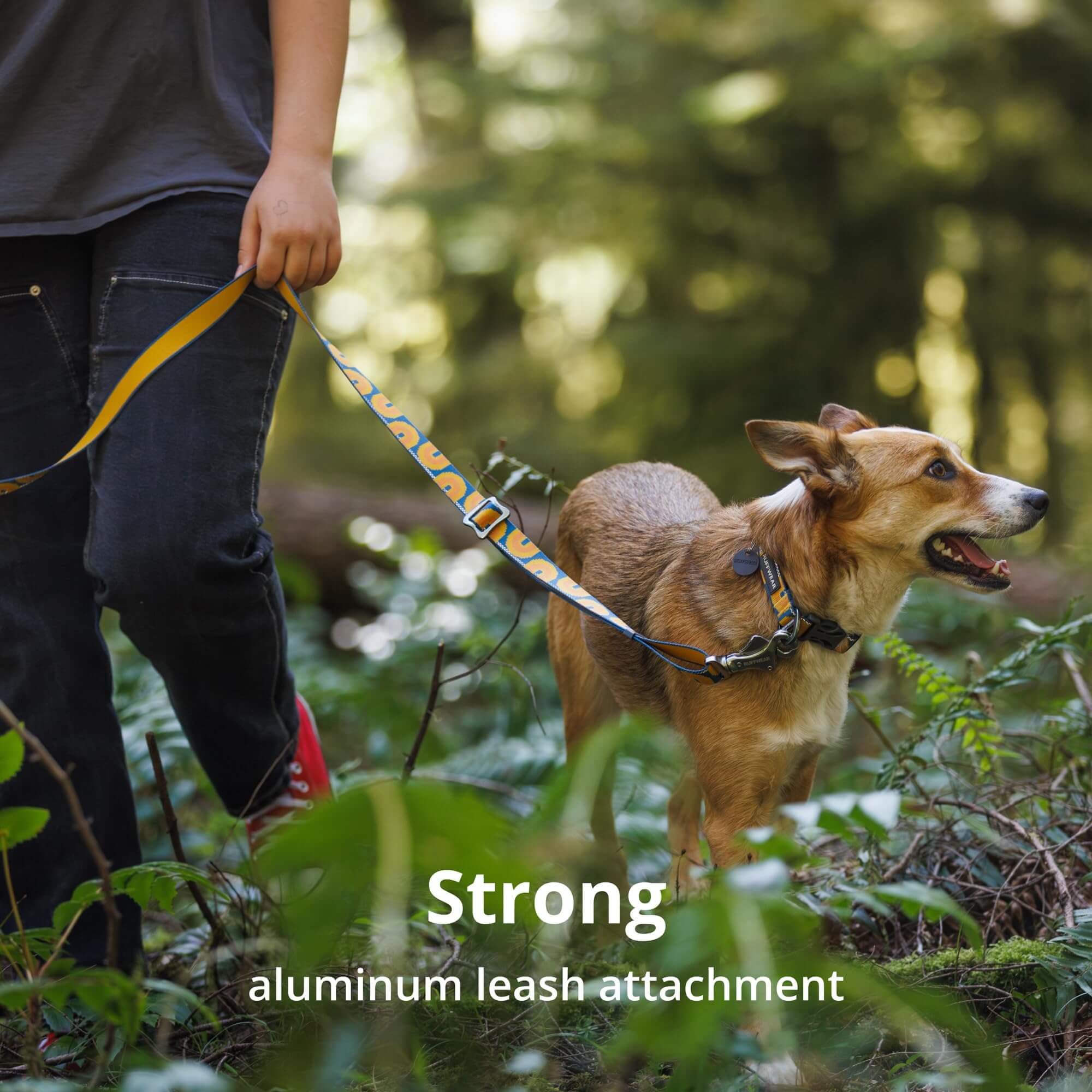 Ruffwear Crag Hundehalsband