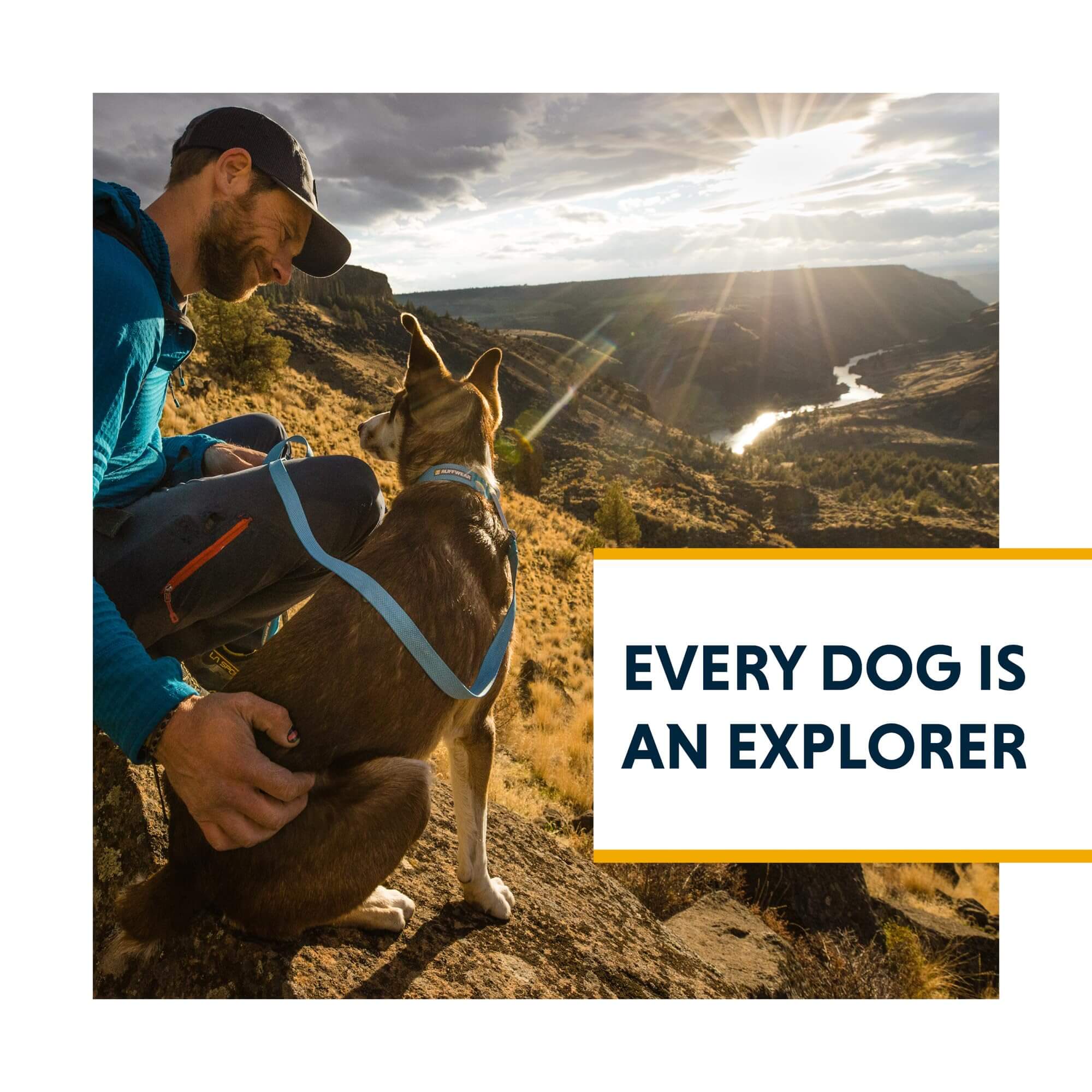 Ruffwear Hi & Light Hundehalsband