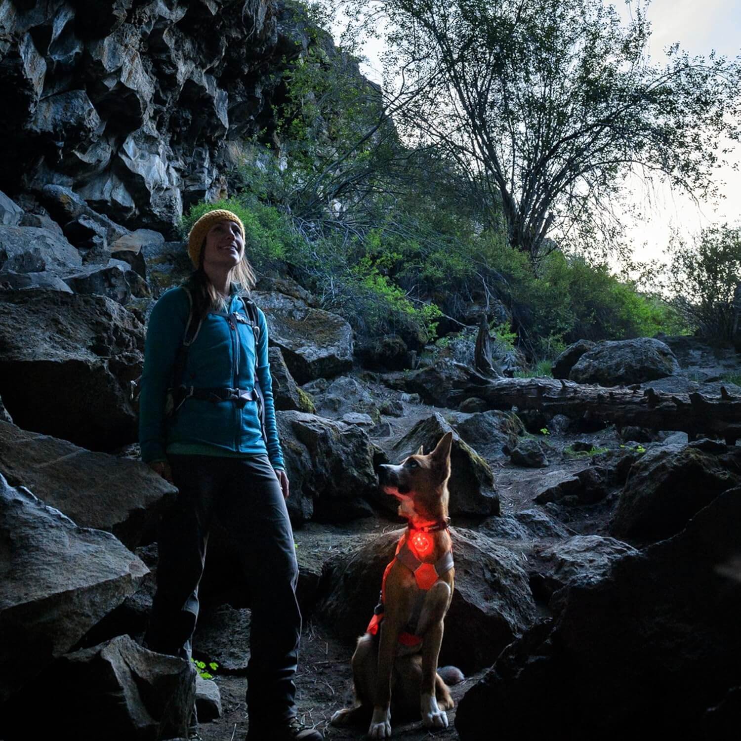 Ruffwear Beacon Hunde-Sicherheitslicht