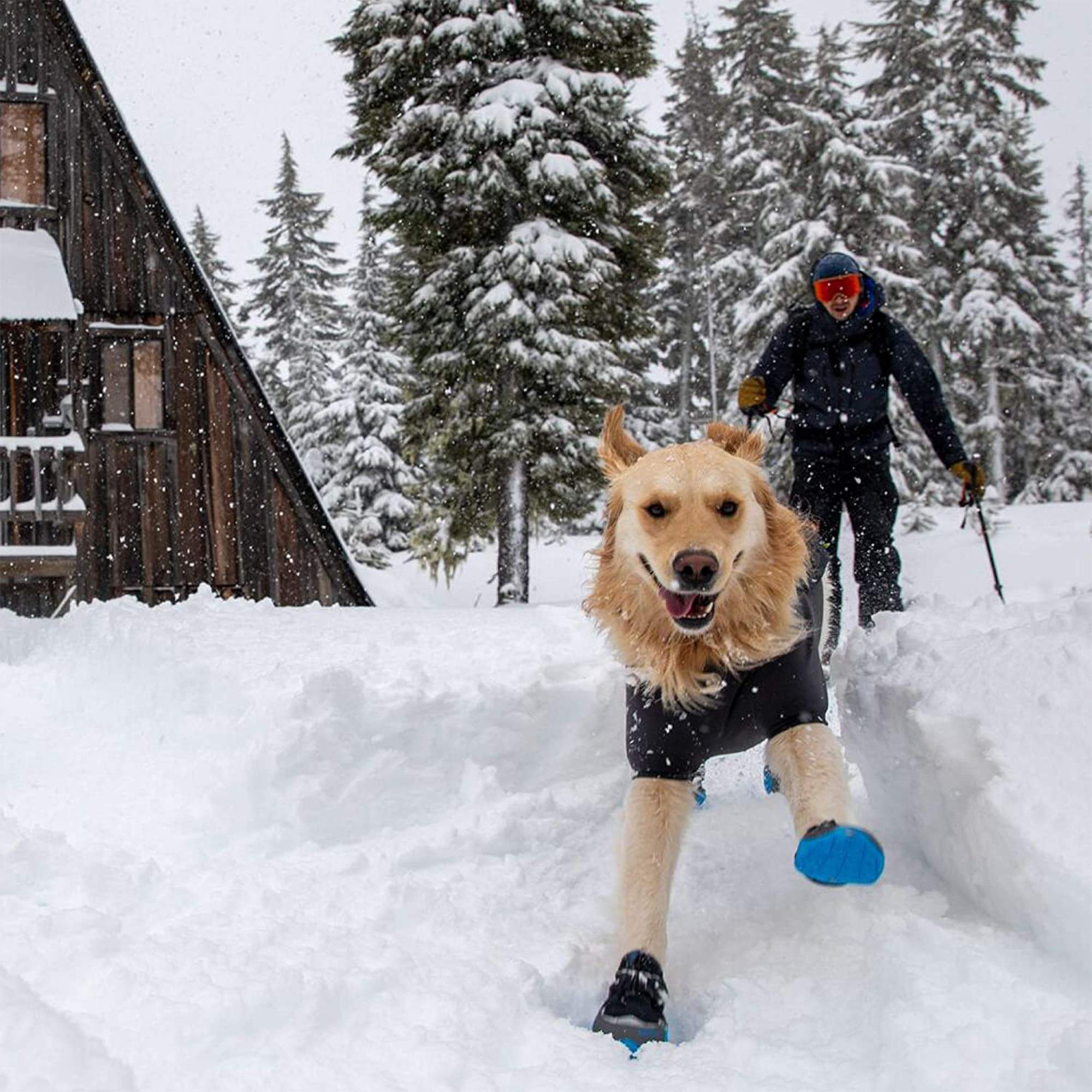 Ruffwear Cloud Chaser Hundejacke - Outdoor Shop FluxPerfect