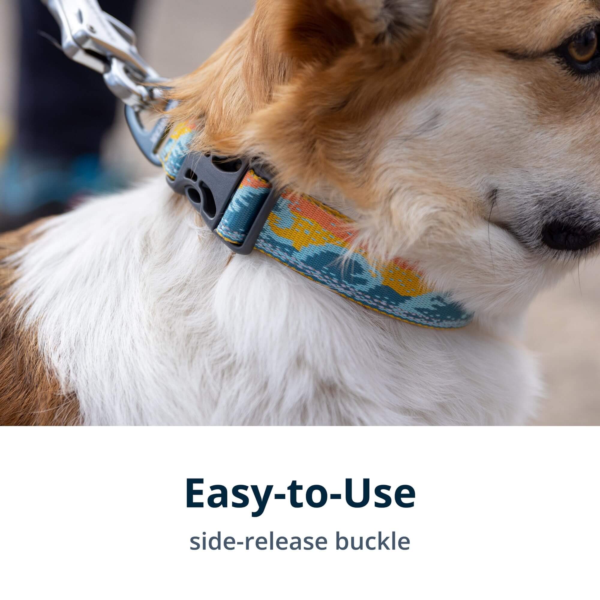 Ruffwear Crag Hundehalsband