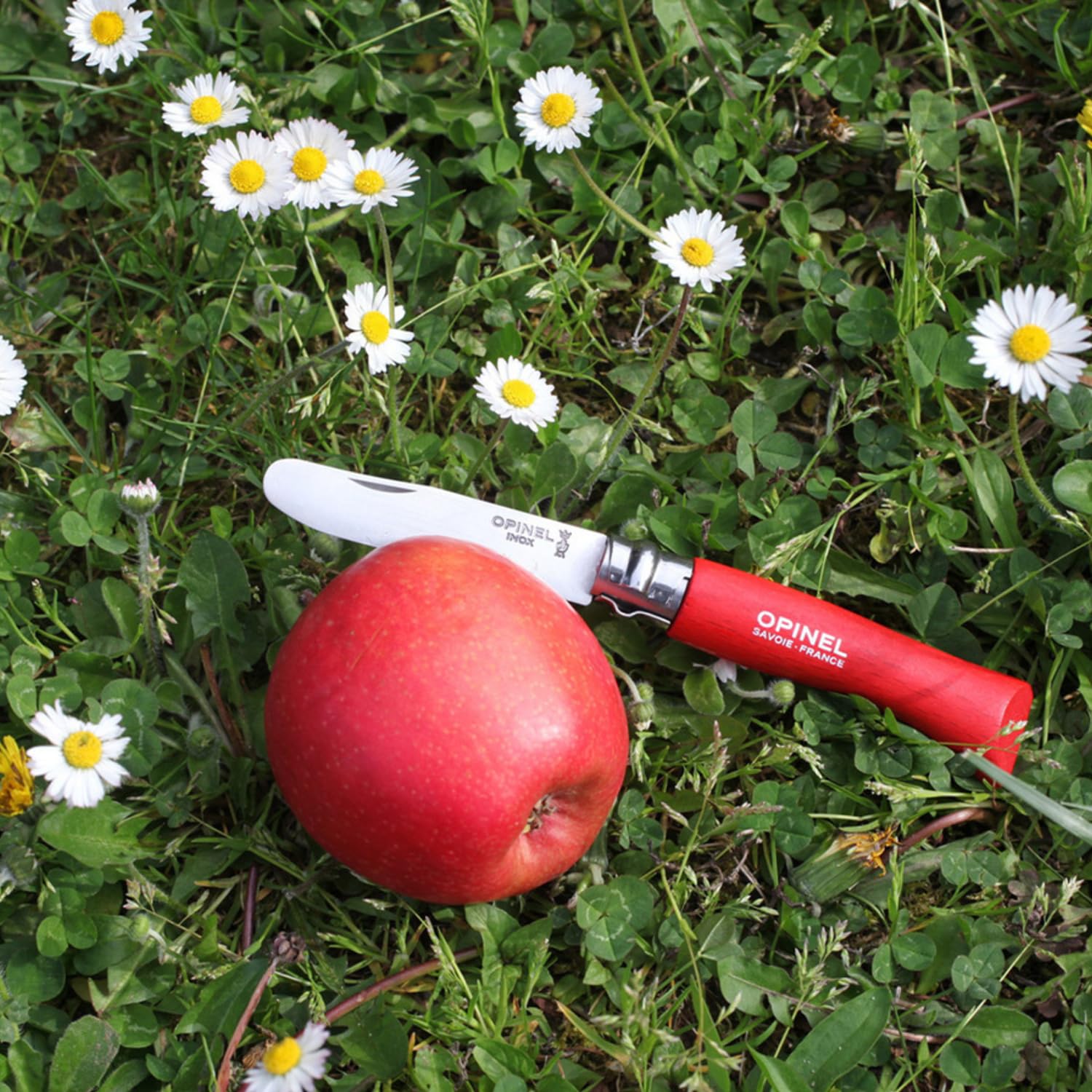 Messerzähler – Opinel – O001698