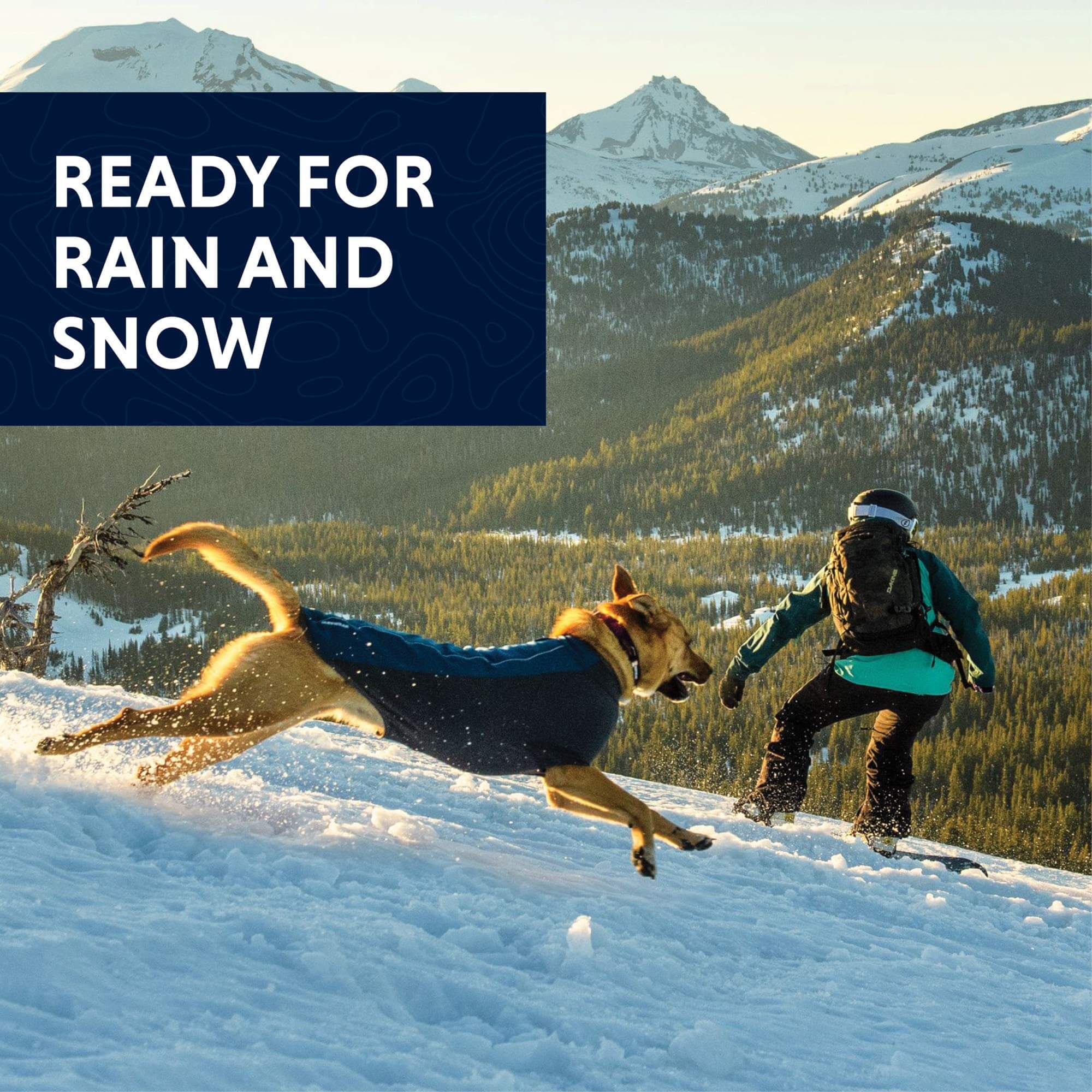 Ruffwear Cloud Chaser Hundejacke - Outdoor Shop FluxPerfect