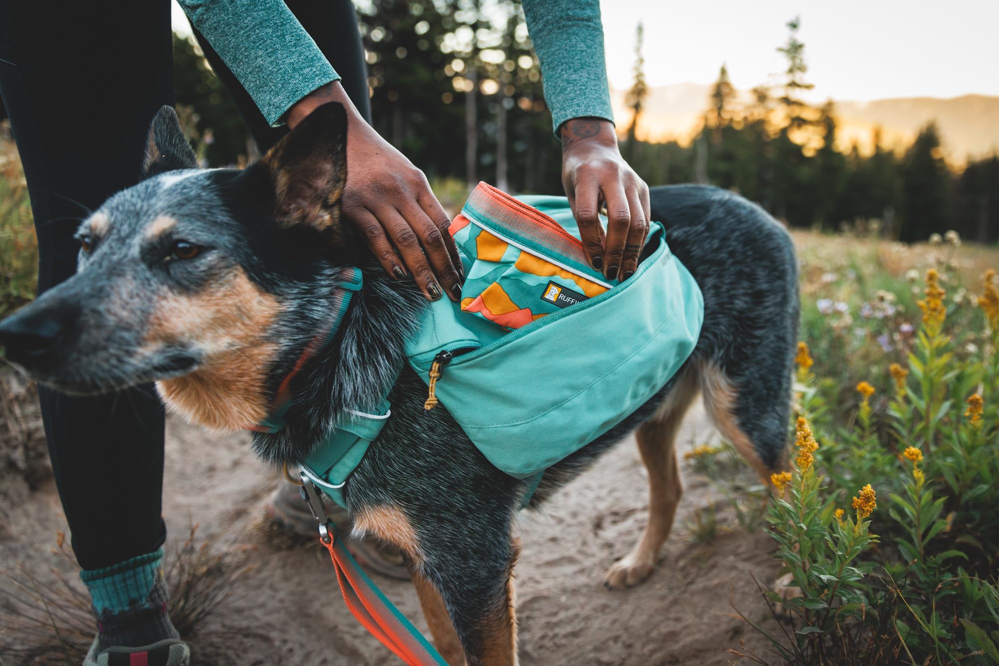 Hundenapf – Ruffwear – Quencher Travel – RUFFWEAR – Bild 7
