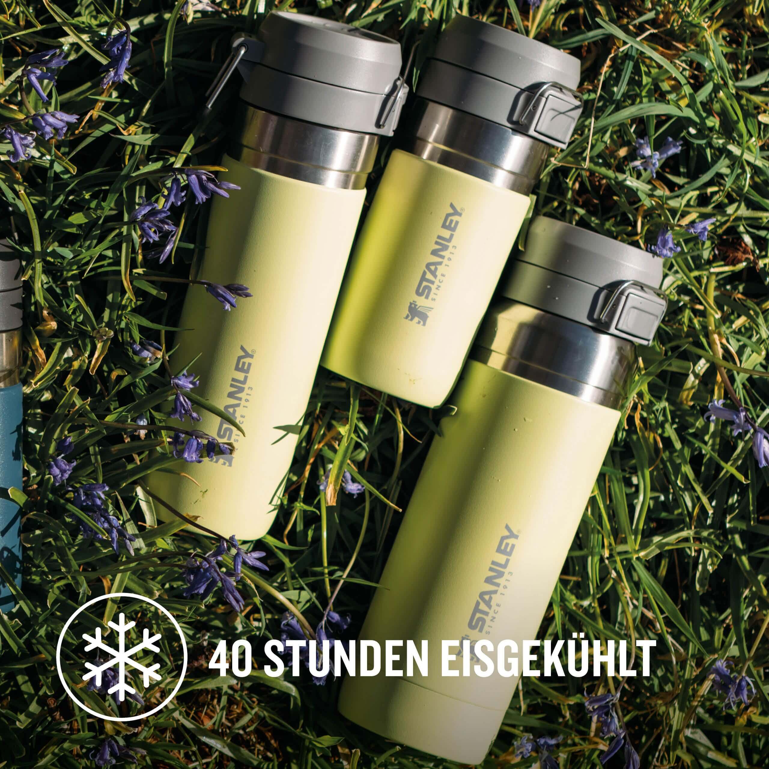 Stanley Quick Flip Trinkflasche Edelstahl - Outdoor Shop FluxPerfect